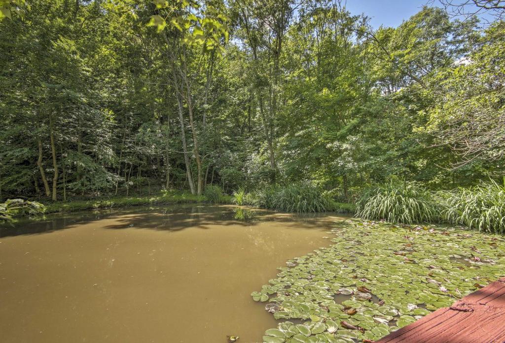 Cabin with Deck and Ranch - 1 Mi to Raystown Lake! - image 5