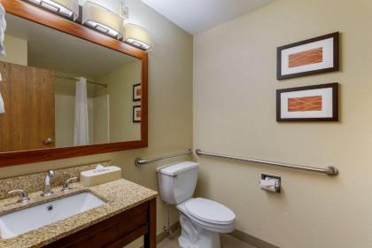 Comfort Inn River's Edge - image 10