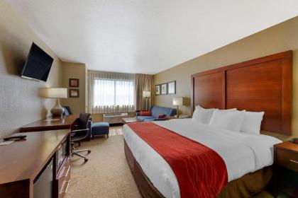 Comfort Inn River's Edge - image 3