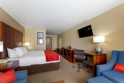 Comfort Inn River's Edge - image 5