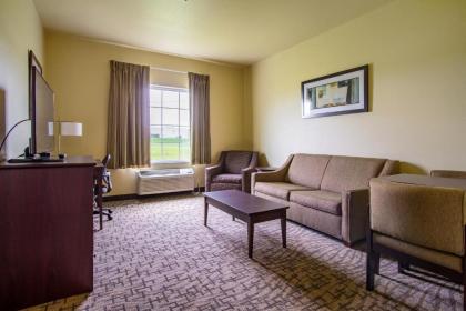 Cobblestone Hotel & Suites - Hutchinson - image 4