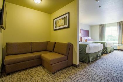 Cobblestone Hotel & Suites - Hutchinson - image 5