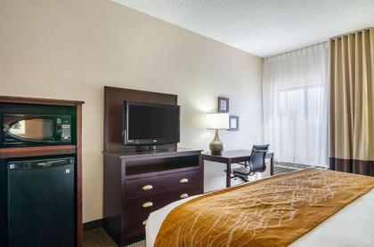 Comfort Inn & Suites - image 18