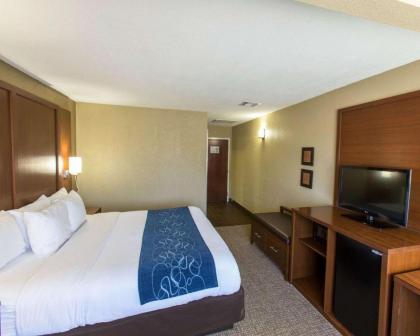 Comfort Suites Idabel - image 3