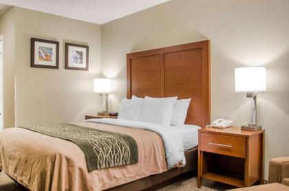 Comfort Inn Idaho Falls - image 10