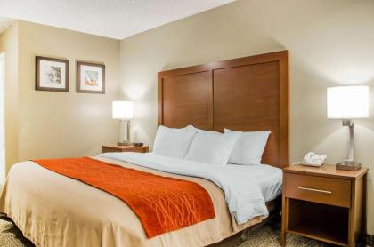 Comfort Inn Idaho Falls - image 11