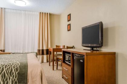 Comfort Inn Idaho Falls - image 12