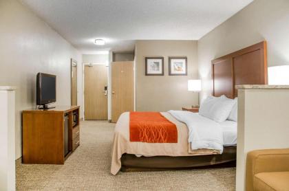 Comfort Inn Idaho Falls - image 15