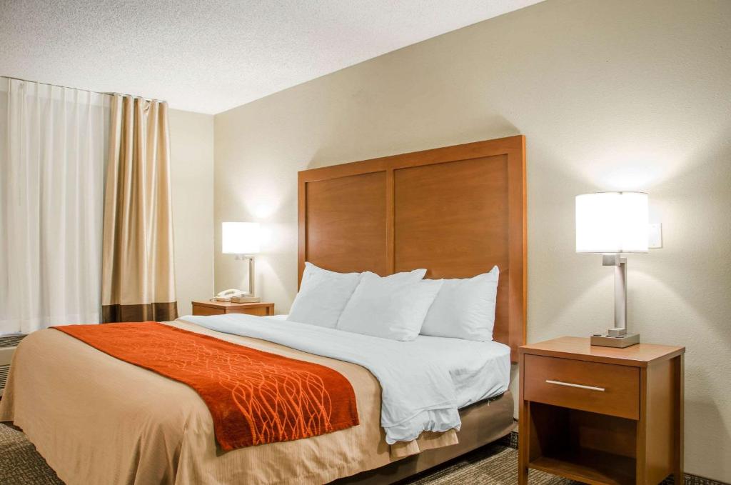 Comfort Inn Idaho Falls - image 2