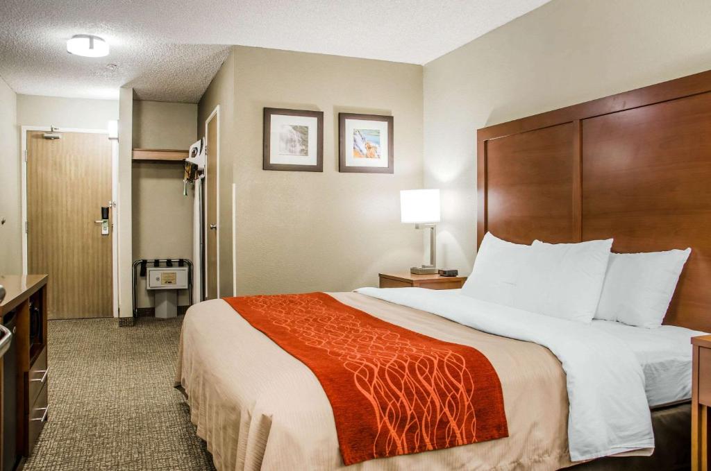 Comfort Inn Idaho Falls - image 7