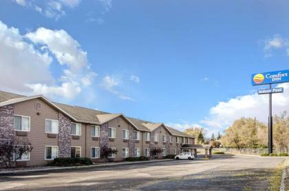 Comfort Inn Idaho Falls - image 8