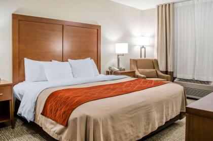 Comfort Inn Idaho Falls - image 9