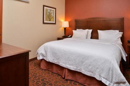 Hampton Inn Idaho Falls / Airport - image 2