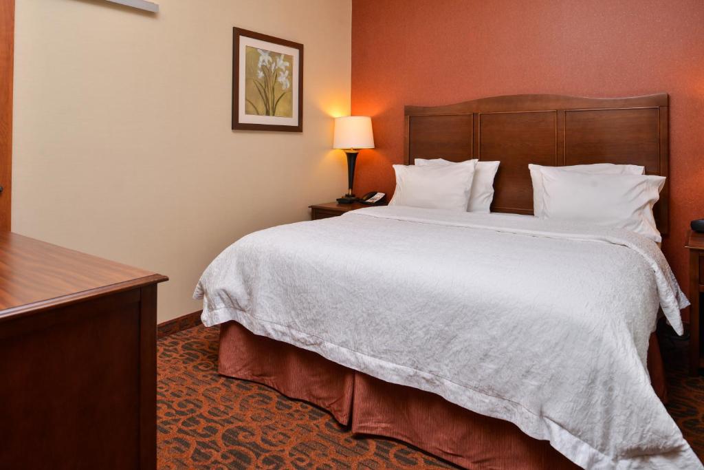 Hampton Inn Idaho Falls / Airport - image 2