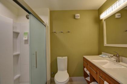 Home2 Suites by Hilton Idaho Falls - image 5