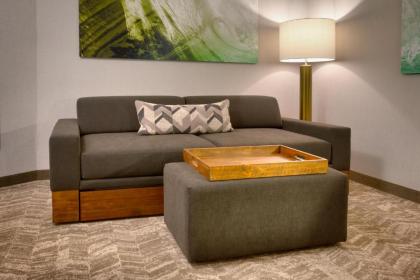 SpringHill Suites by Marriott Idaho Falls - image 2