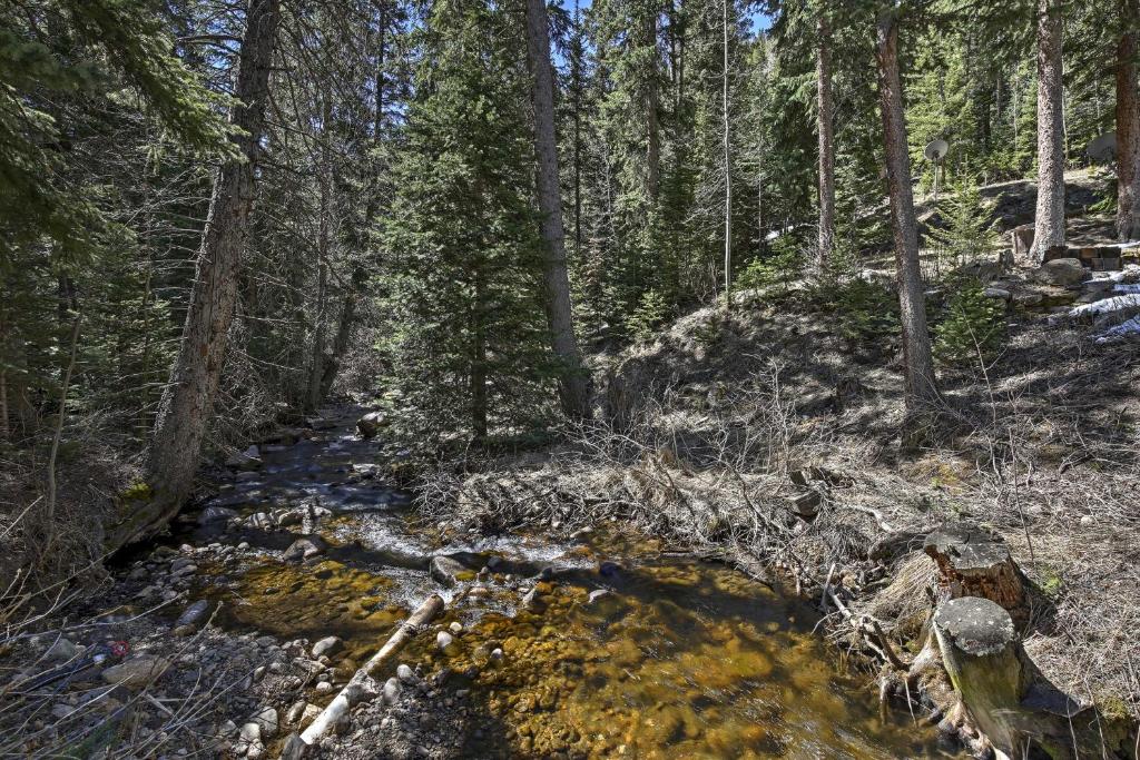 Creekside Mtn House with Deck 8 Mi to Idaho Springs - image 2