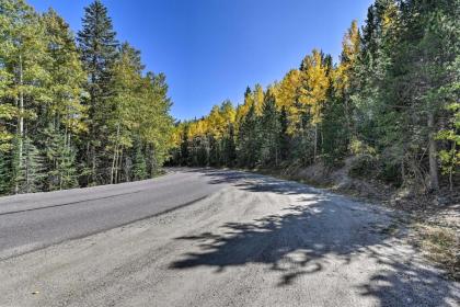 Idaho Springs Cabin with Hot Tub on half Acre! - image 11