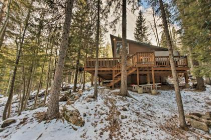 Idaho Springs Cabin with Hot Tub on half Acre! - image 9