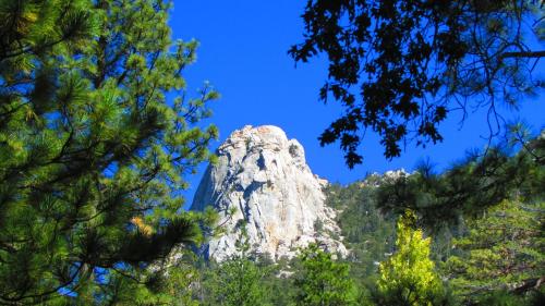 Always Inn Idyllwild Vacation Cottages - image 3