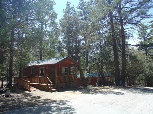 Idyllwild Camping Resort Wheelchair Accessible Cottage - image 2