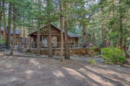 Twin Tree Lodge - image 4