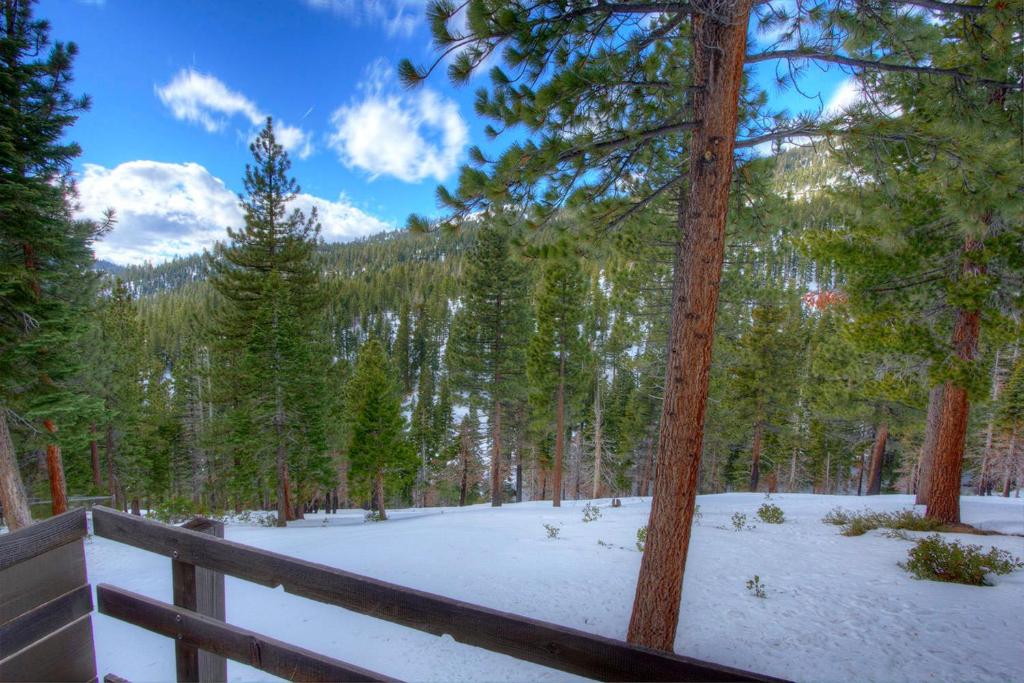 Tumbleweed Pines by Lake Tahoe Accommodations - image 3