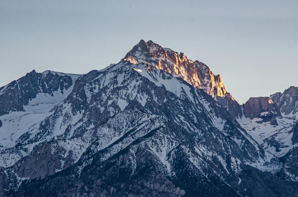 Mt Williamson Motel and Basecamp - image 3