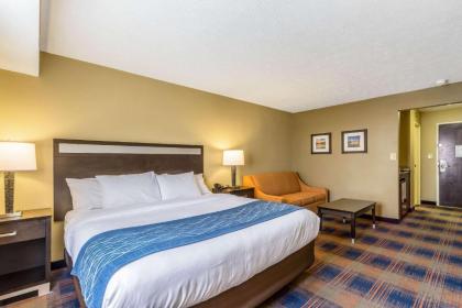 Comfort Inn Independence - image 13