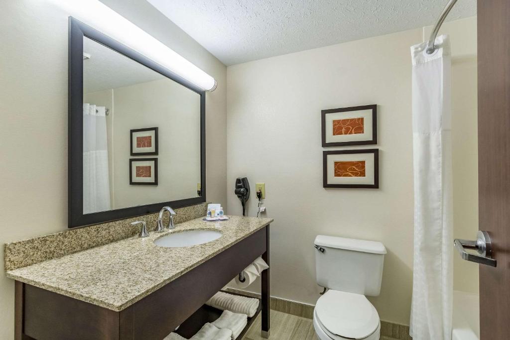 Comfort Inn Independence - image 4