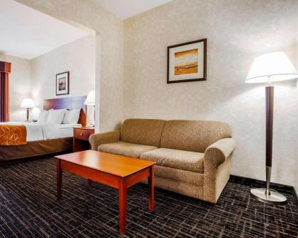 Comfort Suites - Independence - image 15