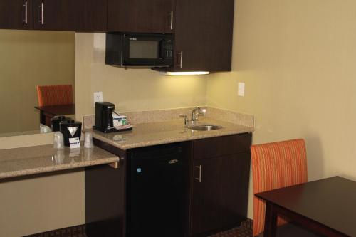 Holiday Inn Express Hotel & Suites Indianapolis W - Airport Area an IHG Hotel - image 2