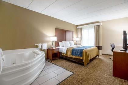 Comfort Inn Indianapolis North - Carmel - image 3