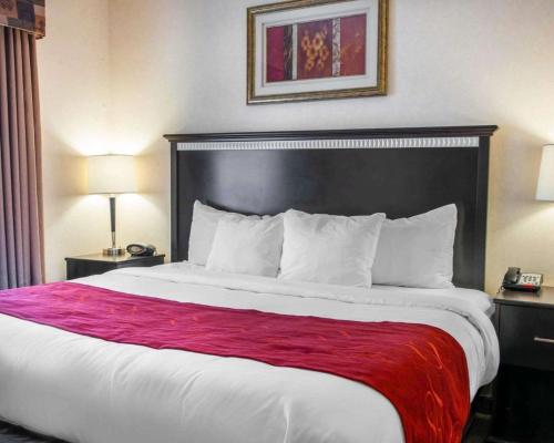 Comfort Suites Southport - image 2