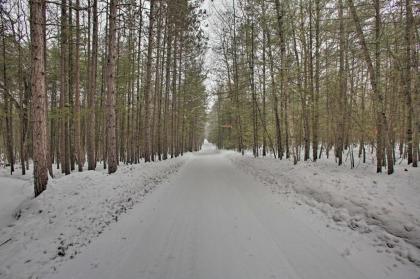 Bass Lake Living - Cozy Cabin in Pine Ridge Resort - image 15