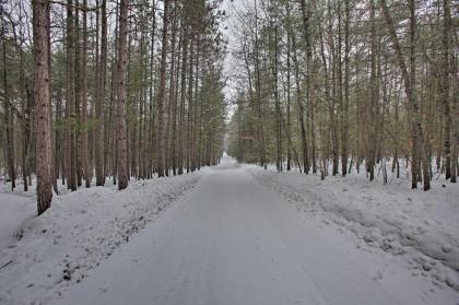 Cozy Interlochen Cabin Less Than 1 Mile from Green Lake! - image 12