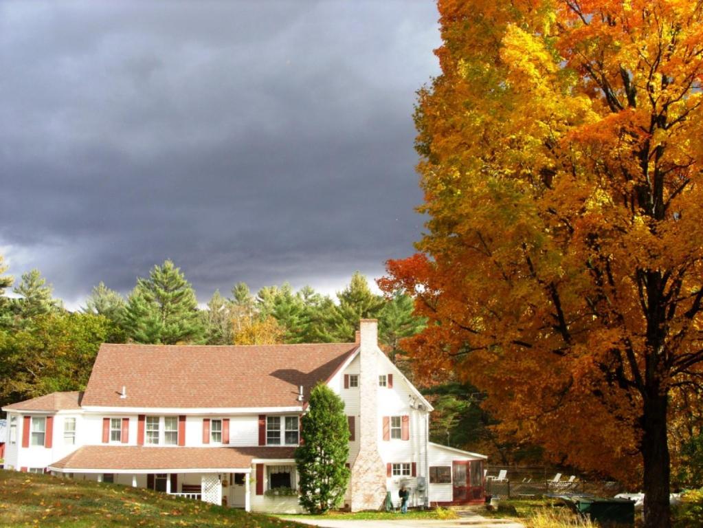 Cranmore Mountain Lodge Bed & Breakfast - main image