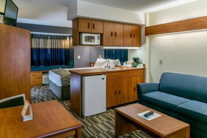 Microtel Inn and Suites - Inver Grove Heights - image 2