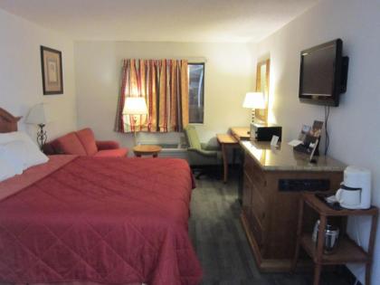 American Inn and Suites Ionia - image 12