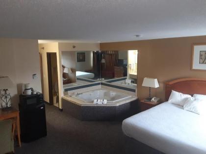 American Inn and Suites Ionia - image 15