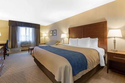 Comfort Inn Iron Mountain - image 14