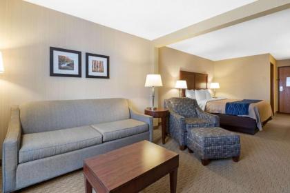 Comfort Inn Iron Mountain - image 15