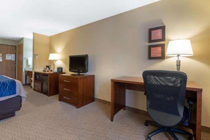 Comfort Inn Iron Mountain - image 3