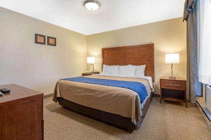 Comfort Inn Iron Mountain - image 9