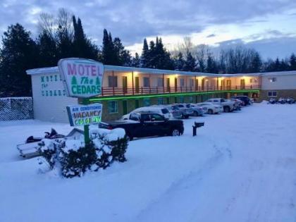 Cedars Motel - image 11