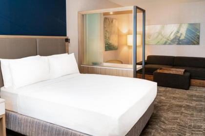 SpringHill Suites by Marriott Irvine Lake Forest - image 8