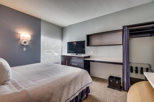 Home2 Suites by Hilton DFW Airport South Irving - image 4