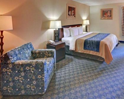 Quality Inn & Suites DFW Airport South - image 3