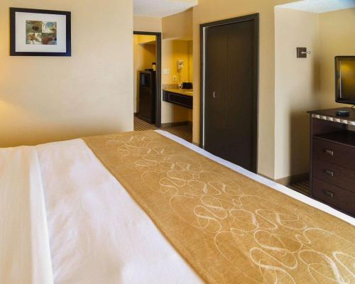 Comfort Suites DFW Airport - image 2