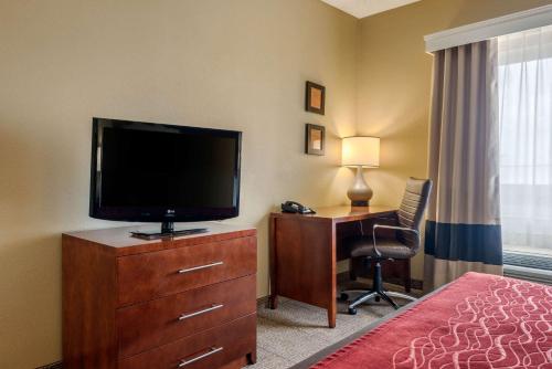 Comfort Inn DFW Airport North - image 2